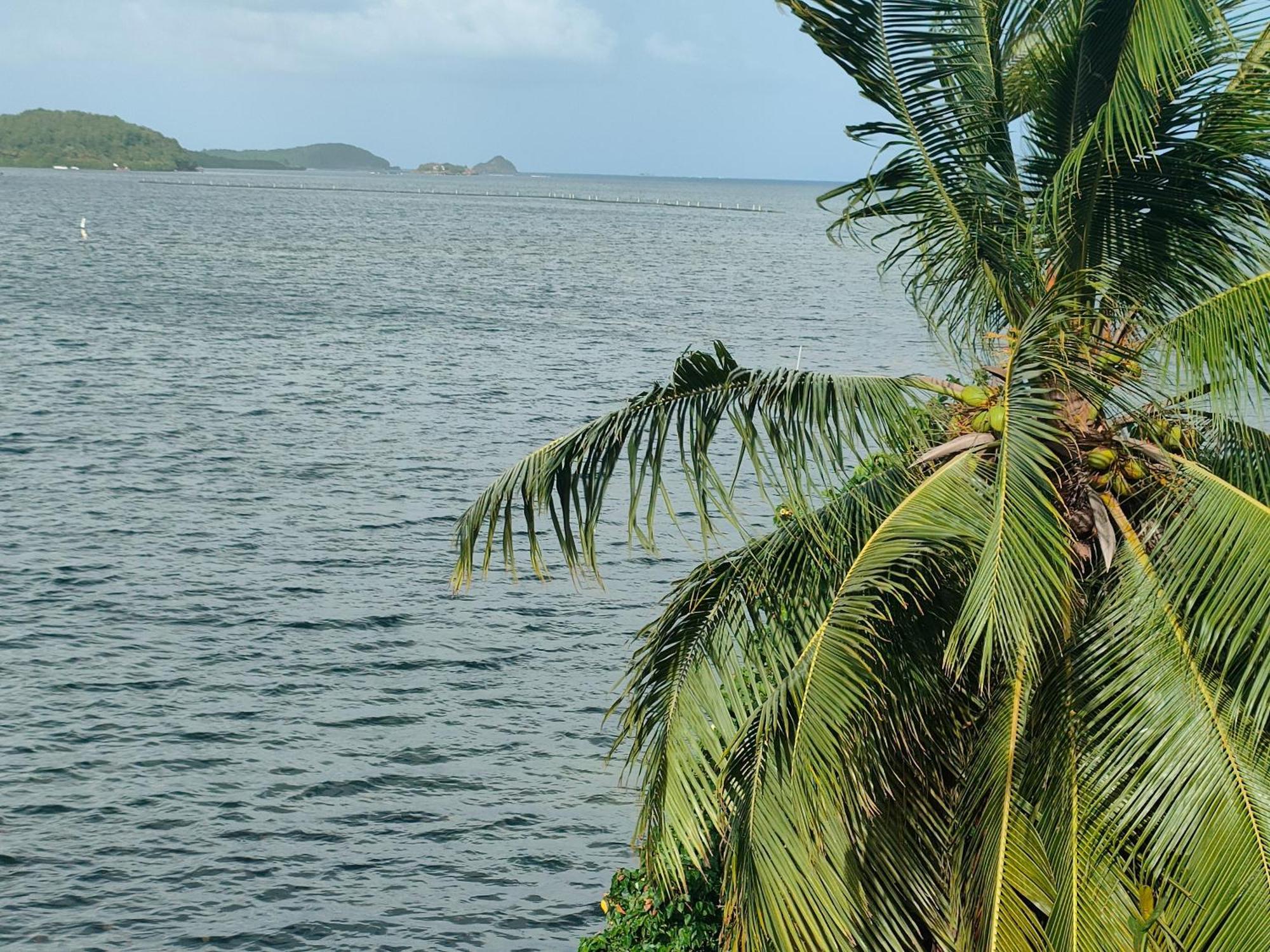 Apartamento Bromelias Le Robert Exterior foto